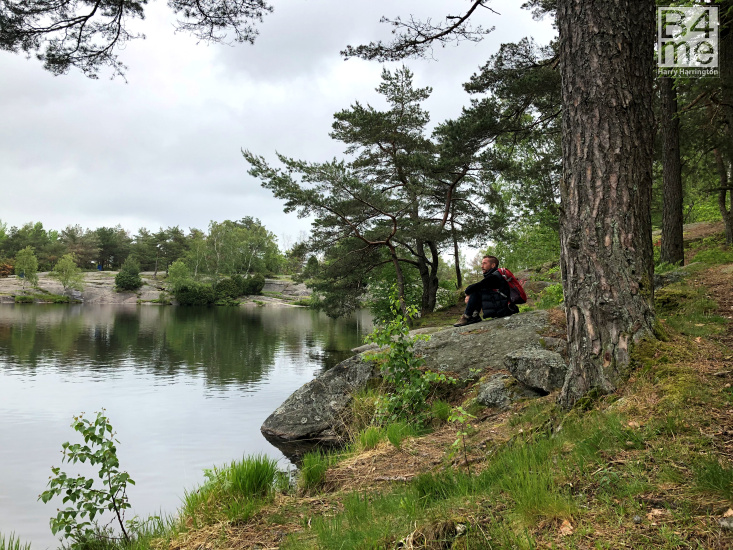 samuel brierley bonsai